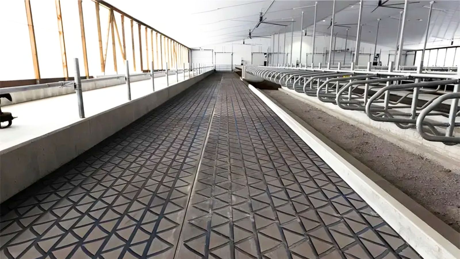 DairyGrip long roll flooring in a milking shed